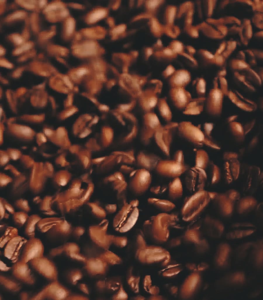 Fresh-roasted beans tumbling out of the roaster