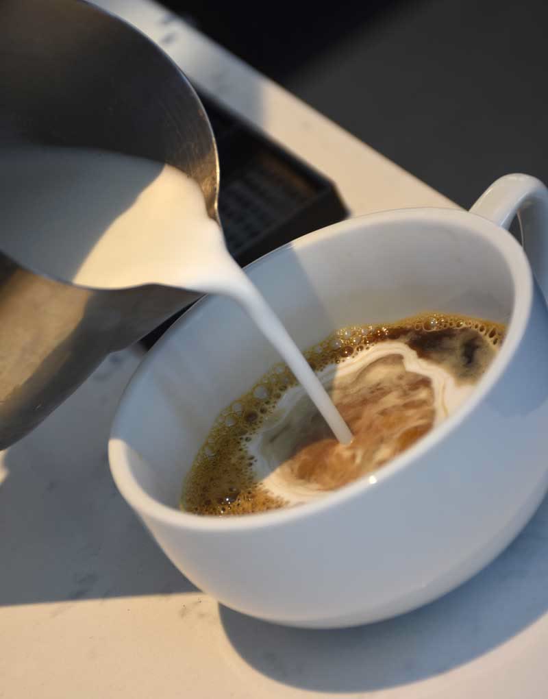 Steamed milk meeting chicory coffee in a cafe au lait