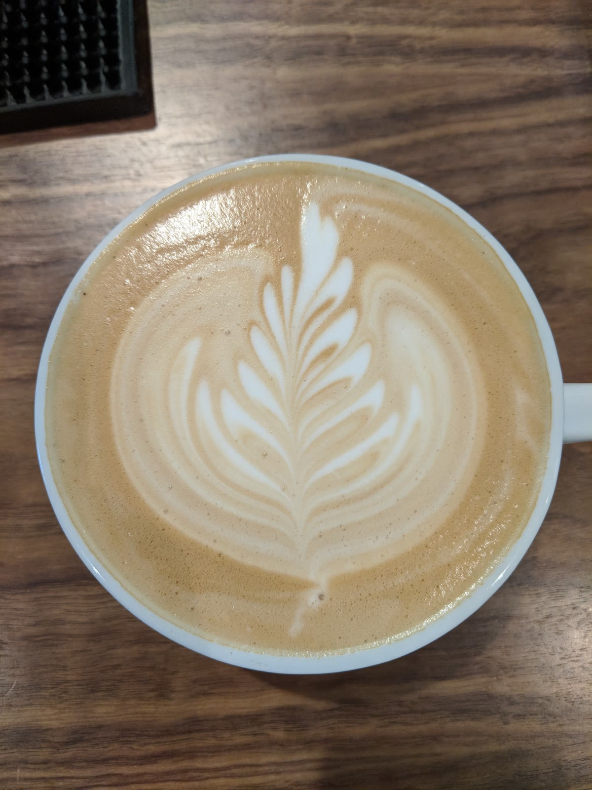 A fern poured in the milk foam of a latte