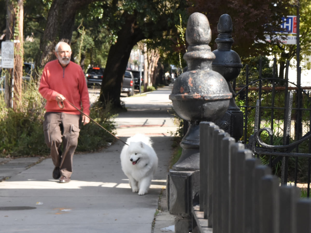 A neighbor walking a white dog past the iron fence outside the Magazine Street shop