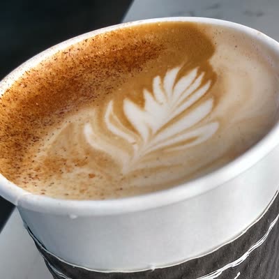 A chai latte with a fern poured in the foam, dusted with cinnamon