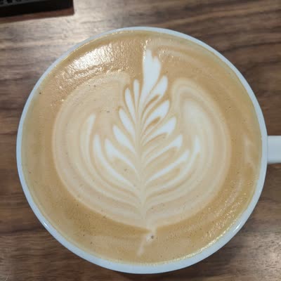 A latte with a fern poured in the milk, from above