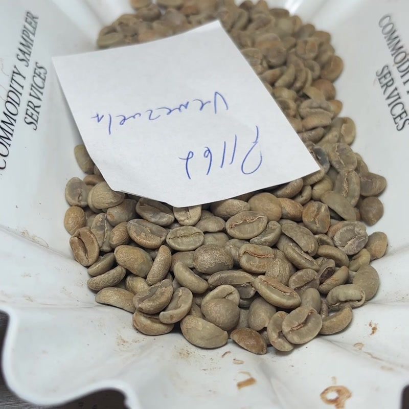 Green Venezuelan coffee beans in a Commodity Sampler Services tray with a handwritten label reading Pilica Venezuela